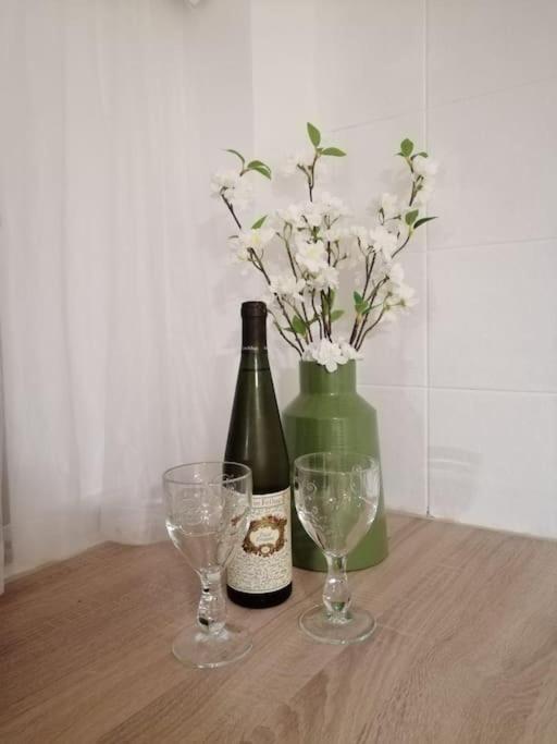 Ferienhaus Gesamtes Haus Mit Garten - 100% Privatsphaere Wien
